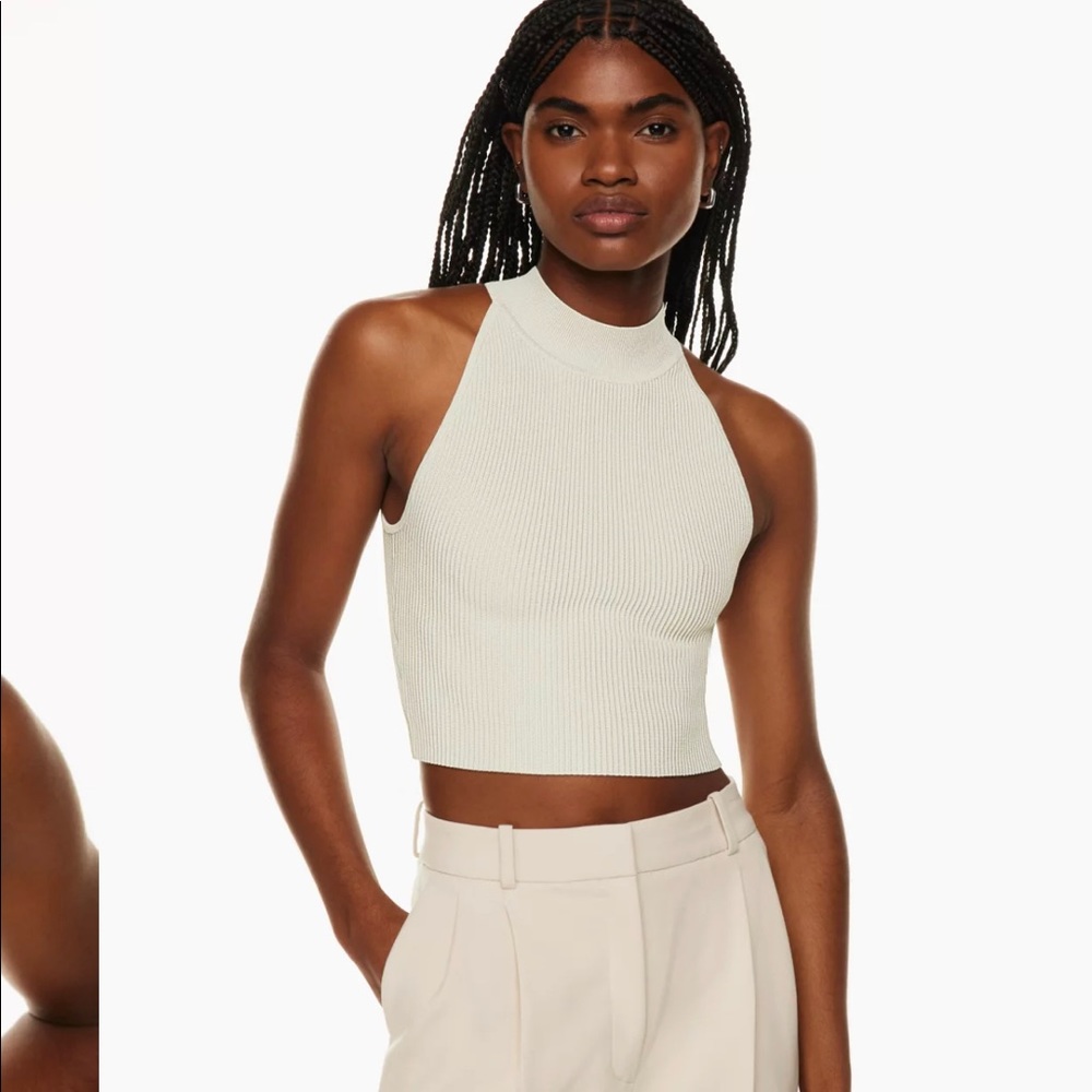 Babaton sculpt knit high neck top